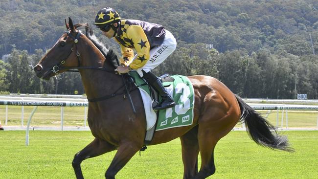 Terra Mater can make it two in-a-row on Sunday. Picture: Bradley Photos