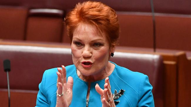 Hanson argued that 18 year olds have “no idea.” (Pic: Mick Tsikas/AAP)