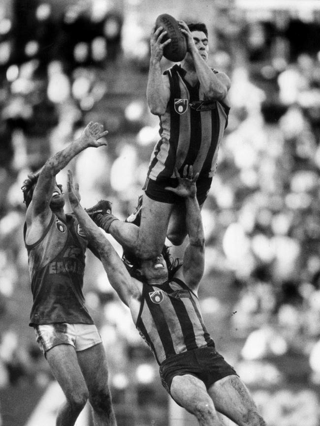 Darren Jarman soars over Hawthorn teammate Gary Ayres.