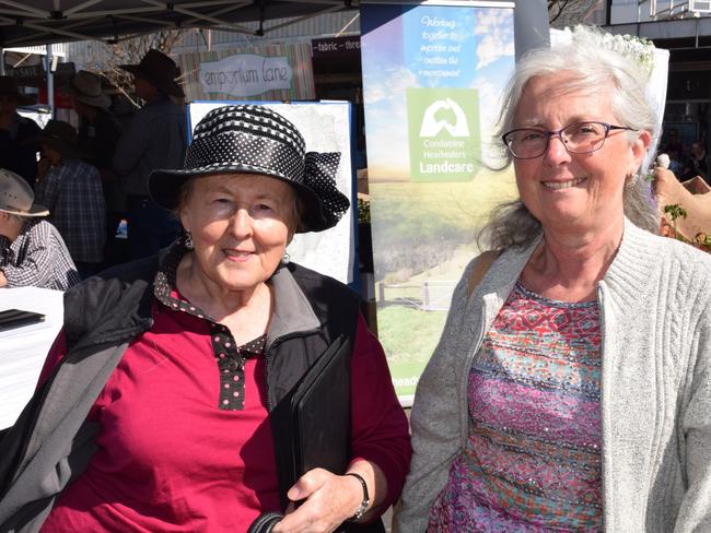 Meredith Heard (left) and Heather Watt at the Stroll &amp; Swing at Jumpers and Jazz in July 2018.