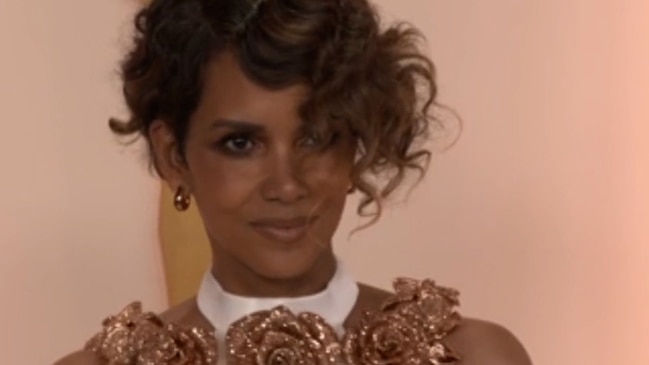 Halle Berry Responds To Troll Who Criticised Her Nude Photo Daily