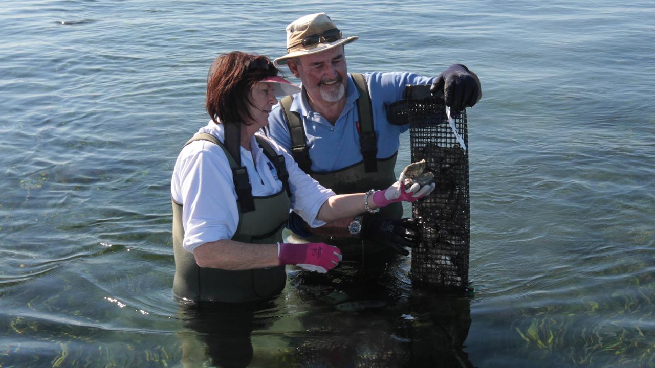 Yorke Peninsula. Gerri and Steve Bowley, have operated oyster leases at Stansbury for the past 7 years.