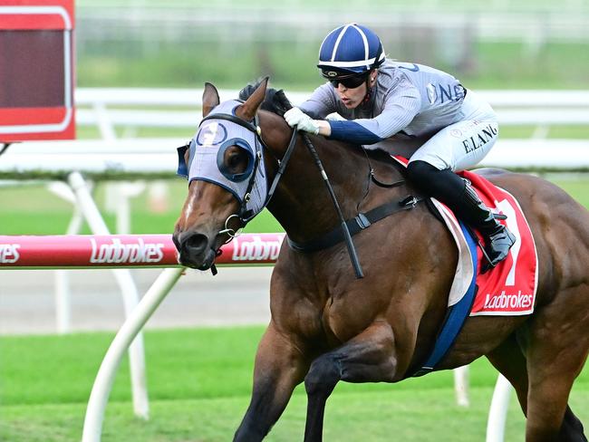 Emily Lang steers the Nick Walsh-trained gelding Hell to victory in a Class 4 race at Eagle Farm on October 12, 2024. Picture: Grant Peters Photography