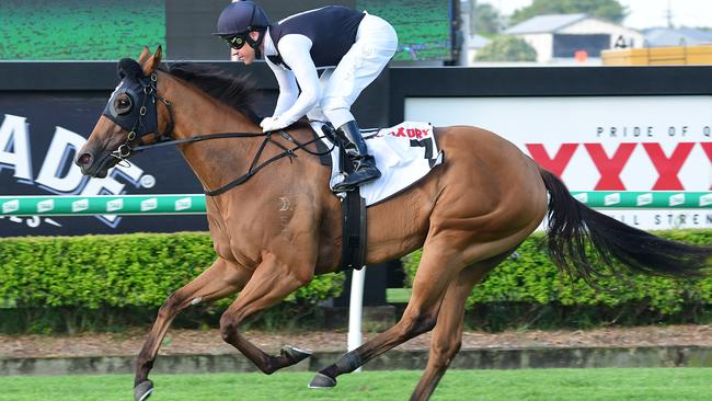 Isotope is favourite for the Magic Millions. Picture: Grant Peters/Trackside Photography