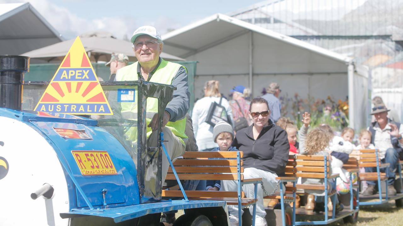 Deloraine Craft Fair Custom guitars on top with excellence award The