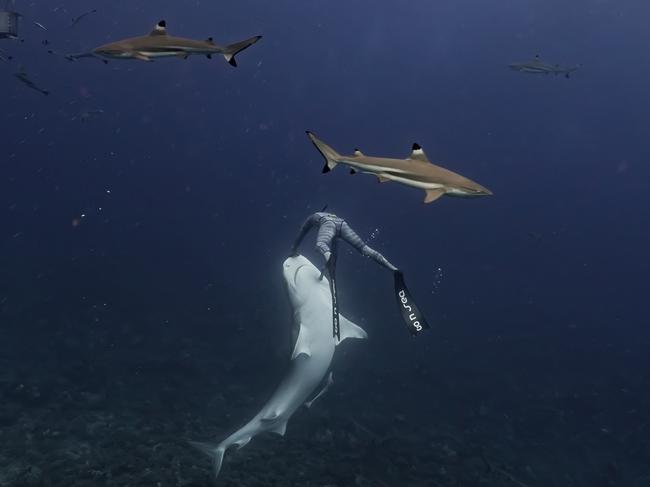 Putty in his hands. Don’t try this at home. Picture: Cam Grant/Pierrick Seybald/Australscope