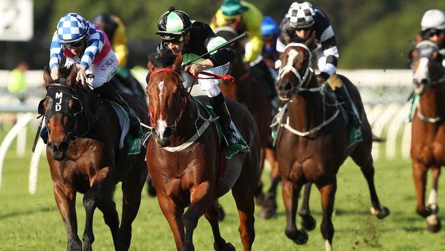 Stockman can take out the Summer Cup for trainer Joe Pride. Picture: AAP Image