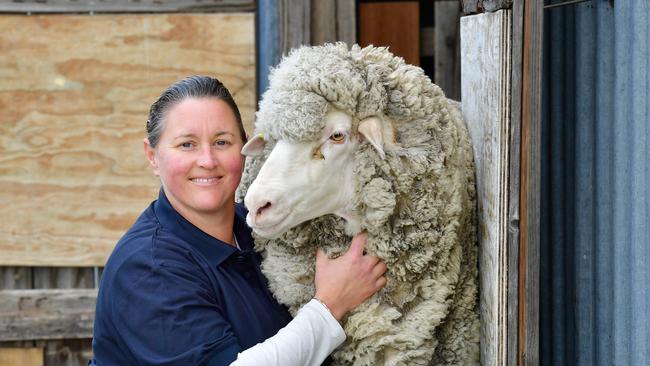 Katrina Ogden with a merino ewe. Picture: Zoe Phillips