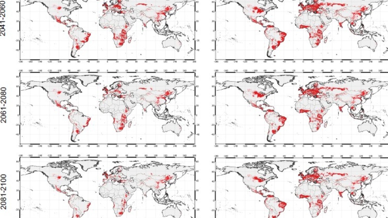 The predicted of the fungi. Picture: Manchester University