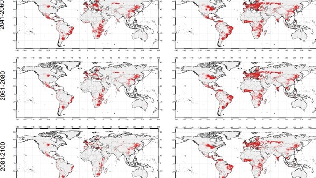 The predicted of the fungi. Picture: Manchester University
