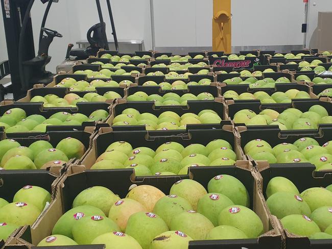Unbelievable cost of mangoes in wake of flood disaster