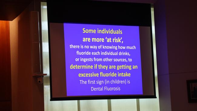 A slideshow played for councillors and members of the public during an anti-fluoride deputation at an ordinary meeting on November 20.