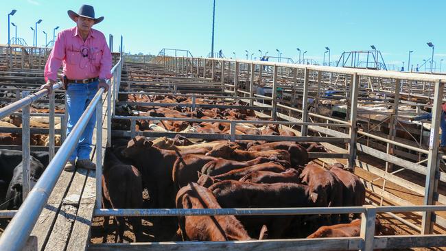 Elders is unsure what impact social distancing rules will have on livestock auctions.