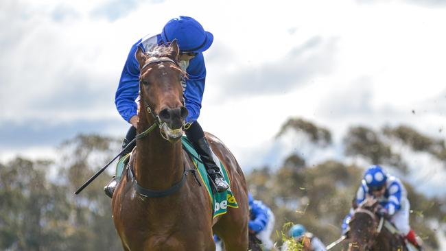 More Sundays is a blowout chance in the last leg of the quaddie. Picture: Racing Photos via Getty Images