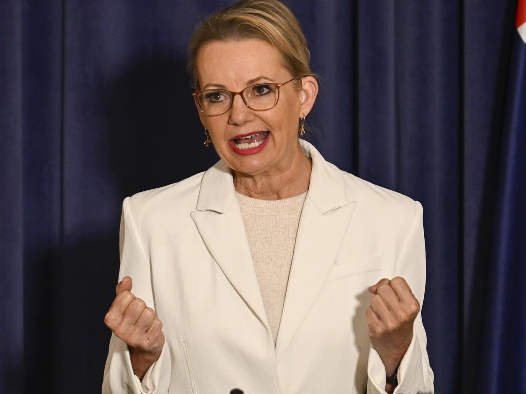 CANBERRA, AUSTRALIA  - NewsWire Photos - May 20, 2025: Leader of the Opposition Sussan Ley holds a press conference at Parliament House in Canberra. Picture: NewsWire / Martin Ollman