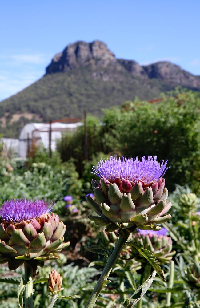 Appealing ... regional Victoria, including the Grampians, has plenty of opportunities for city dwellers needing a sea change. Picture: Andy Rogers