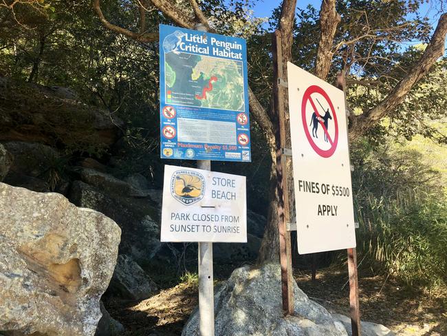 Penguin warning signs at Stone Beach.