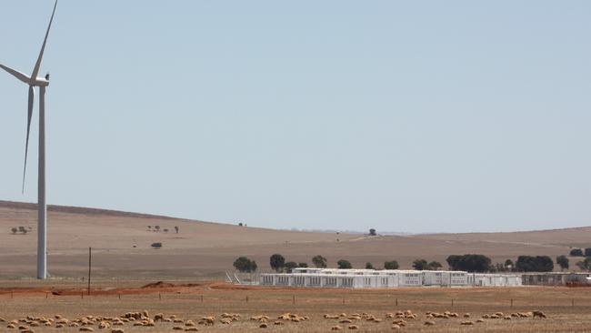 The expanded Hornsdale Power Reserve is adjacent to sheep paddocks.