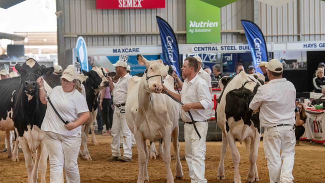 International dairy week at Tatura.