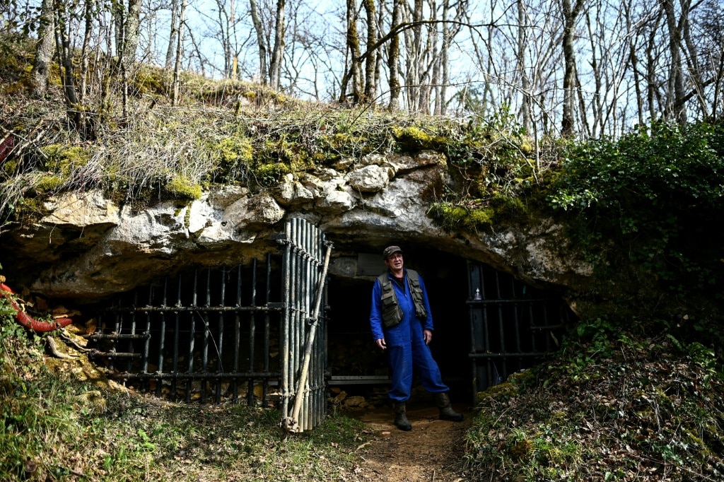 Rarely seen cave art holds prehistoric secrets in France