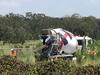 Development giant’s $310m loss to hit Qld projects and builders