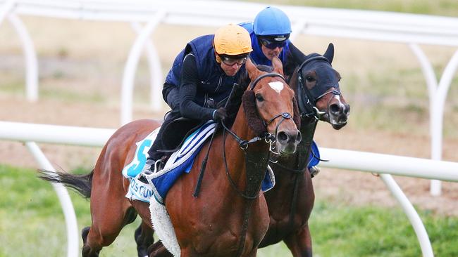 MELBOURNE, AUSTRALIA — OCTOBER 31: Jockey Kerrin McEvoy rides Cross Counter ahead of Folkswood during a Werribee trackwork session at Werribee Racecourse on October 31, 2018 in Melbourne, Australia. (Photo by Michael Dodge/Getty Images)