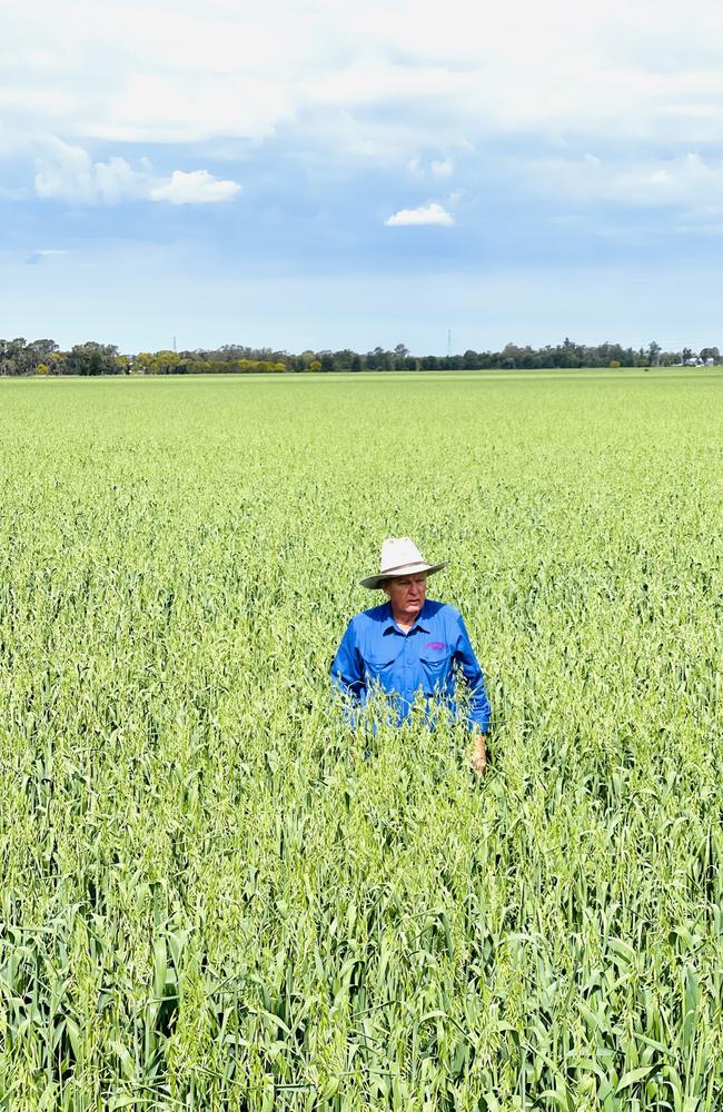 Toby Trebilco said he wept when he heard the Linc decision. Picture: Des Houghton.