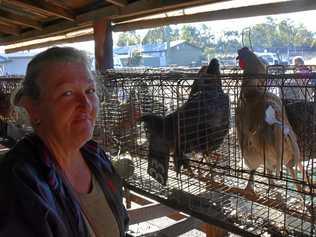 SAYING GOODBYE: Barbara Hourigan with her much-loved roosters. Picture: Chris Lines