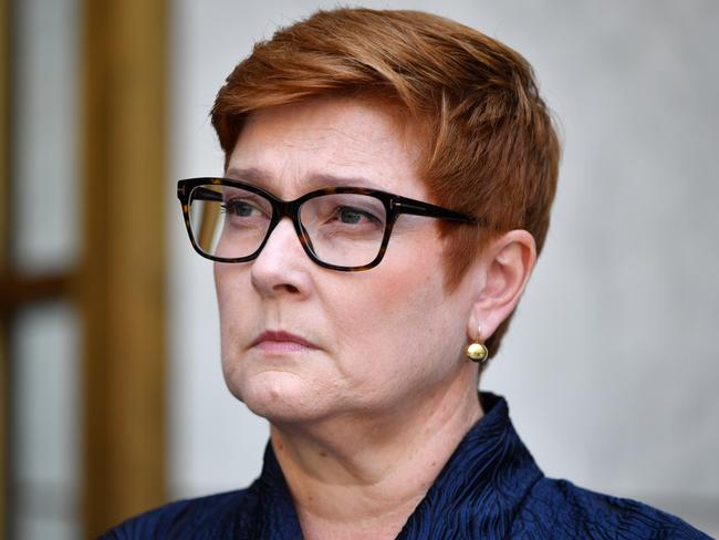 Foreign Minister Marise Payne has taken aim at Bettina Arndt as calls grow for the men’s rights activist to be stripped of her Order of Australia honour. Picture: AAP