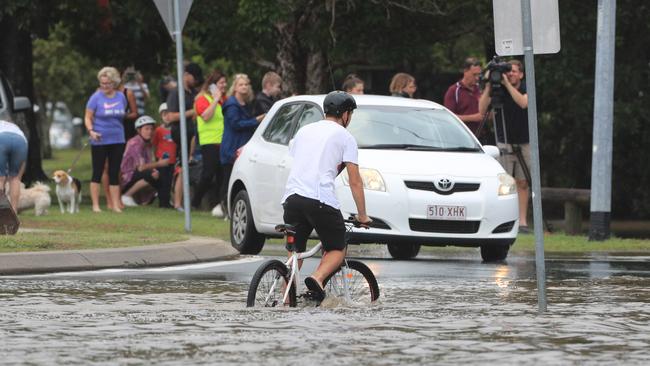 A cyclist makes his way through flood water after the Tallebudgera Creek burst its banks at the western end of 19th Avenue, Elanora. Photo: Scott Powick