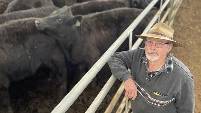 Kevin Ryan from Darraweit Guim sold 43 Angus steers to a top of $2000 for 20 at 315kg at the Yea store sale. His seconds made 707c/kg for 23 at 277kg. Picture: Petra Oates