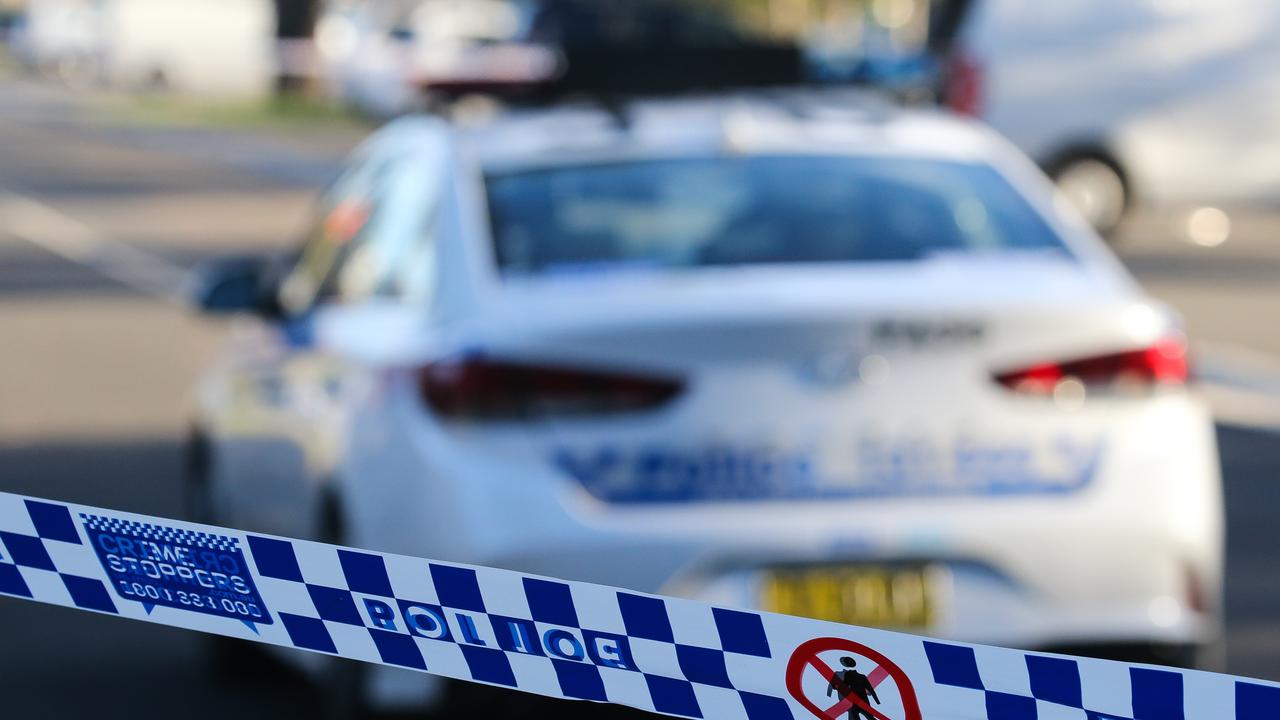 95yo killed in alleged hit and run