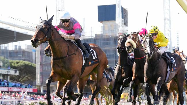 Plenty Of Ammo ridden by Jordan Childs wins the Alinta Energy Crystal Mile at Moonee Valley Racecourse on October 26, 2024 in Moonee Ponds, Australia. (Photo by George Sal/Racing Photos via Getty Images)