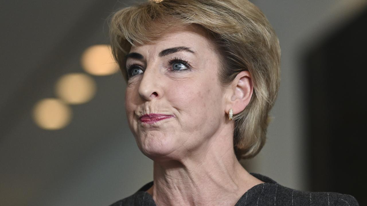 Senator Michaelia Cash holds a press conference at Parliament House in Canberra. Picture: Martin Ollman/NewsWire