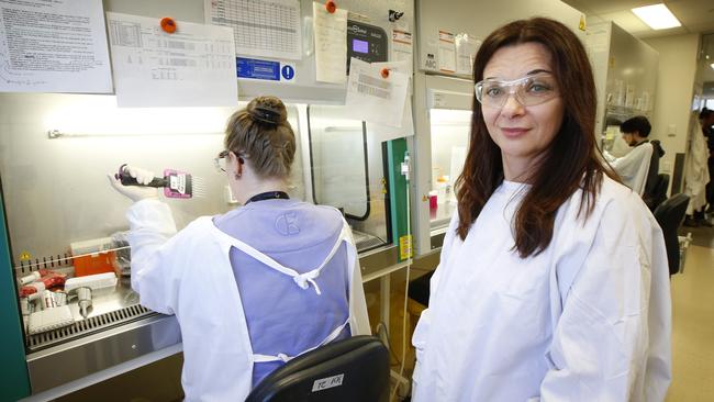 Professor Katherine Kedzierska at the Doherty Institute where a breakthrough has been made that may help overcome coronavirus. Picture: David Caird