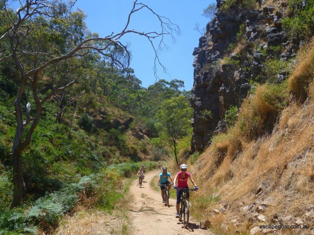 This bike tour is a glorious way to explore nature and take in Adelaide’s incredible views. Picture: Travello/escapegoat.com