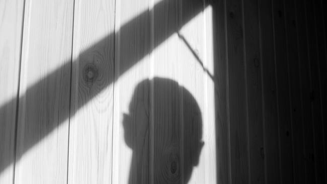 CRDV chief executive Sandra Keogh says the judicial process is vital in the application for orders and directions. Picture: Istock