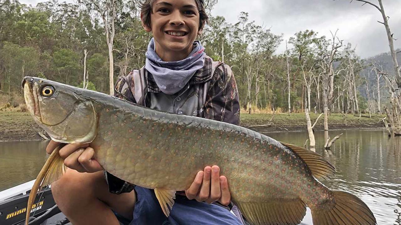 LIVE WHITING - Chasebaits Australia