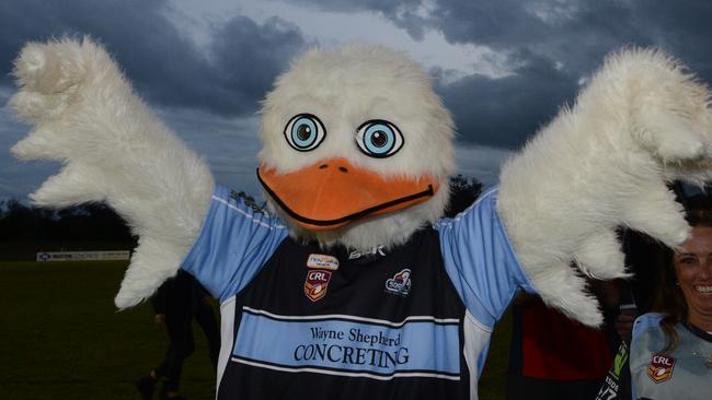 Seagulls in debt: Ballina Shire Council’s latest offer to rugby club