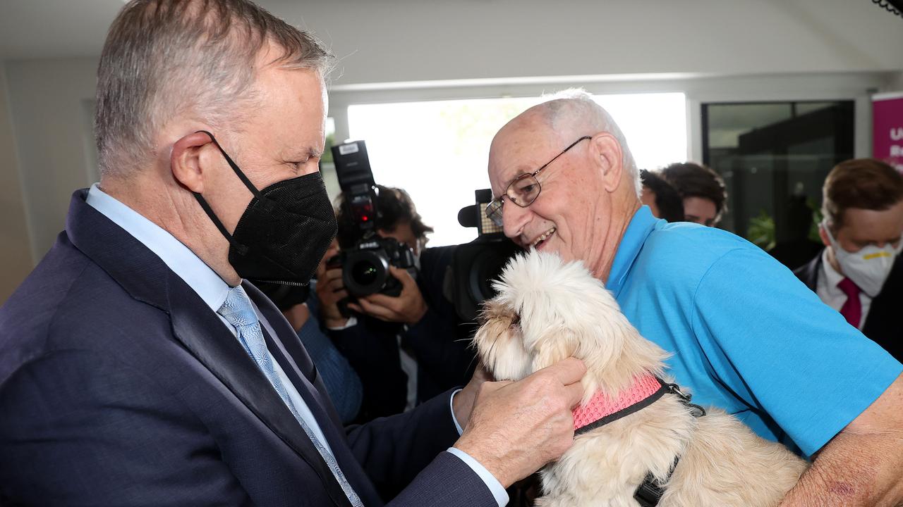 Anthony Albanese pats Maltese Shih Tzu cross Bella at a retirement village in Nowra. Picture: Toby Zerna