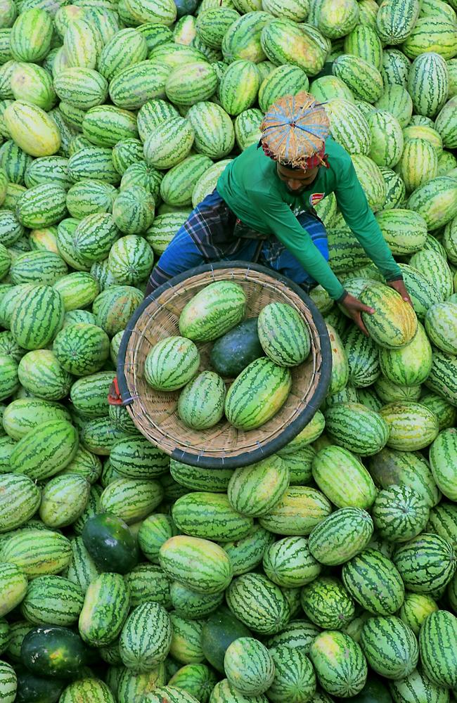 Pictures from #Green2020, Agora’s latest online photo contest. 'Man in melons!' by @sakter (Bangladesh).