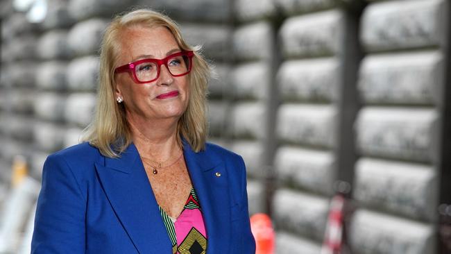 Melbourne Lord Mayor Sally Capp has commented for the first time since the cost and use of ratepayer-funded limousines were revealed by the Herald Sun.