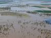 Floodplain harvesting finally locked in