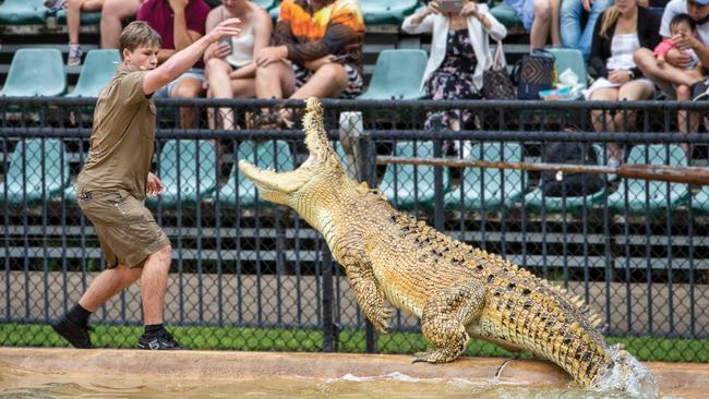 Each digital artwork purchased will be unique. Picture: Australia Zoo