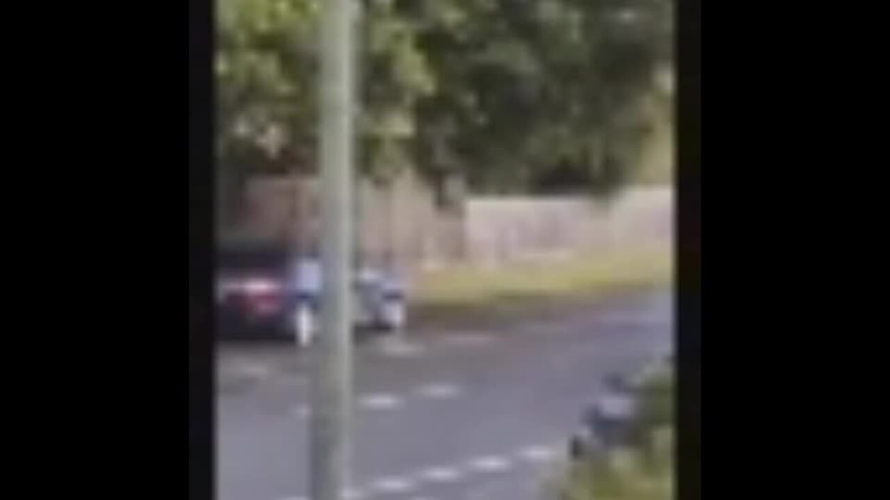 Mum allegedly tried to run man down in road rage drama