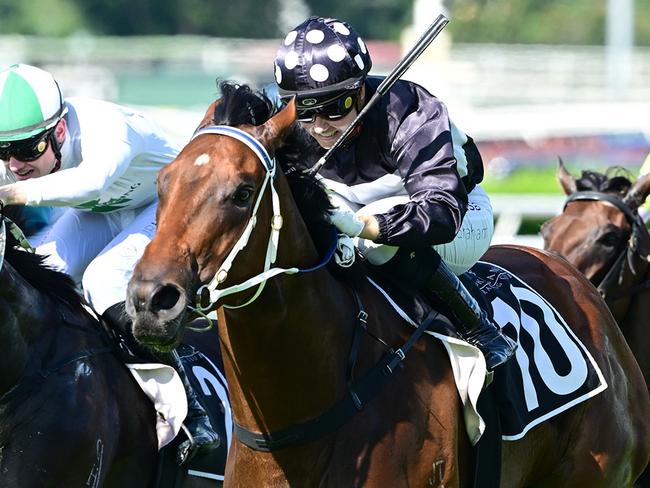 Benzou announces himself as a potential star when winning at Eagle Farm for trainer Billy Healey and jockey Cejay Graham. Picture: Grant Peters, Trackside Photography.