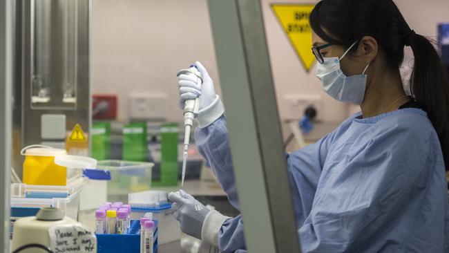 A lab scientist prepares COVID-19 test samples for the new BD MAX test machine at the NSW Health Pathology Gosford lab on the Central Coast. Picture: News Local / Troy Snook