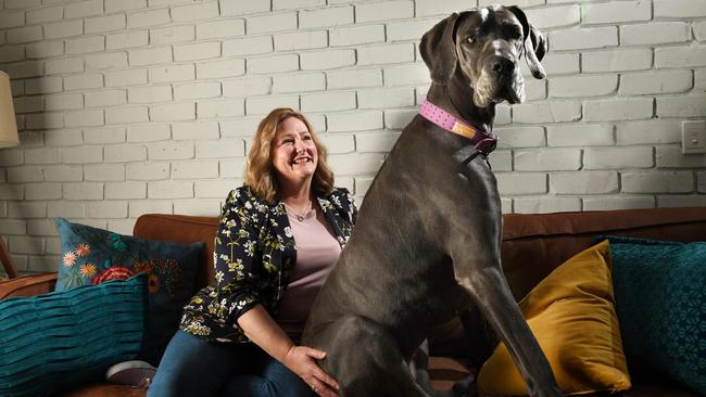 Rebekha Sharkie with her great dane Lulu. Picture: Tricia Watkinson