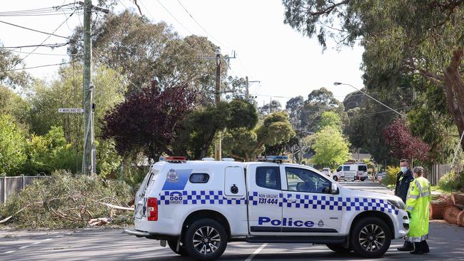 Trees and powerlines came down during Melbourne’s wild weather overnight. Picture: NCA NewsWire / Ian Currie