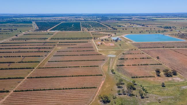 GO. FARM purchased the 2666ha Dellapool Aggregation, near Narrandera in the NSW Riverina.